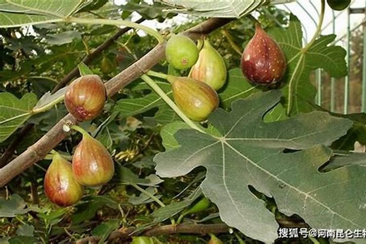 寿光市禾利源生物科技有限公司怎么样？
