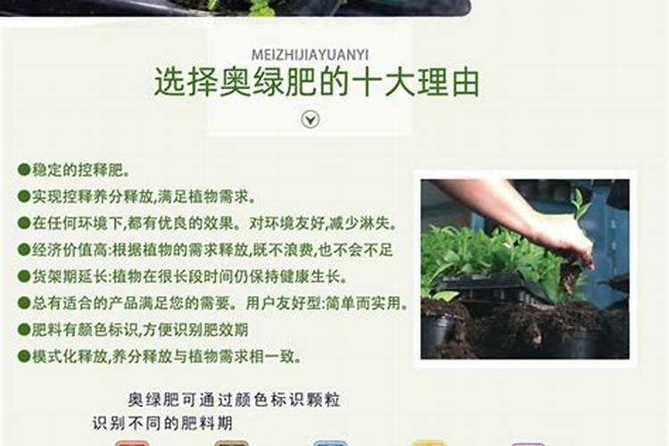 奥绿肥正确使用方法