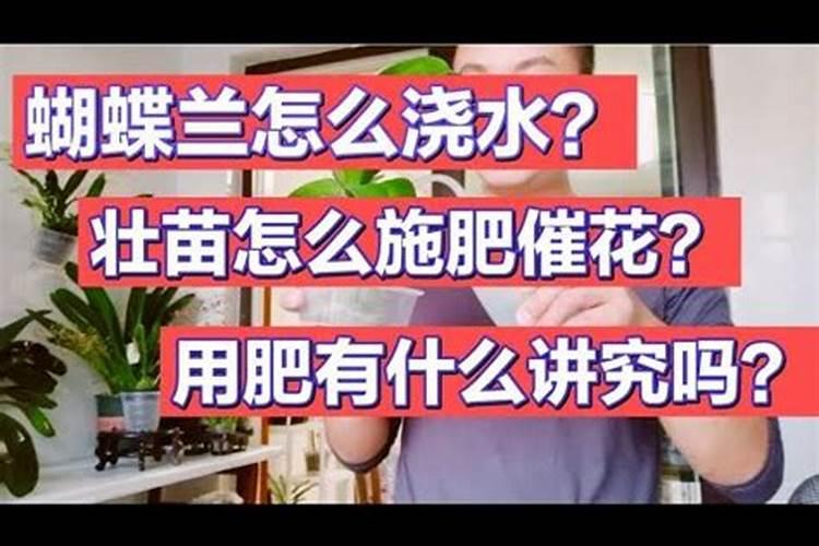 果树促花用什么叶面肥好？