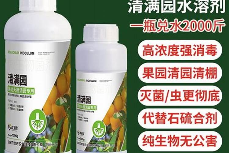 九里香用什么肥料
