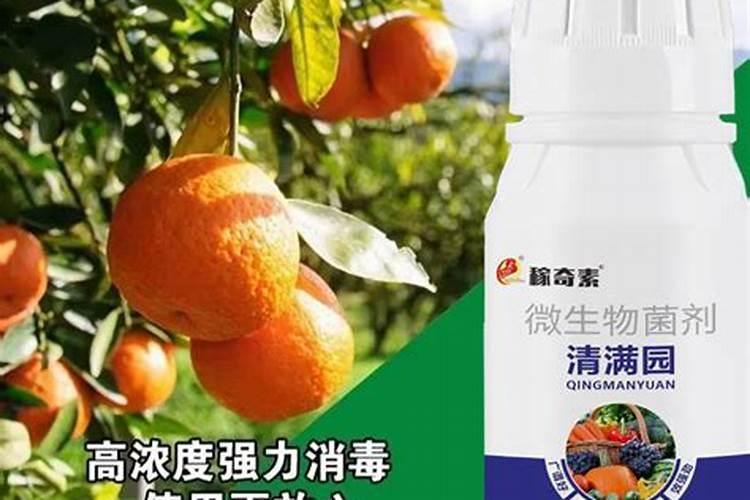 清满园的功效与使用方法