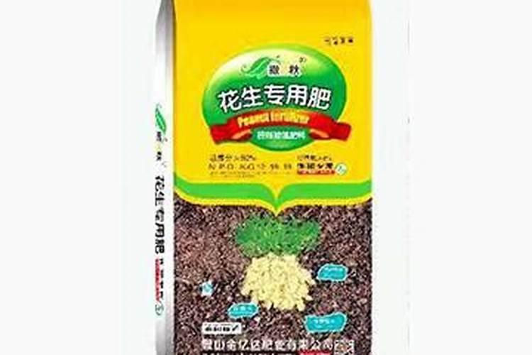 柿子的栽培方法