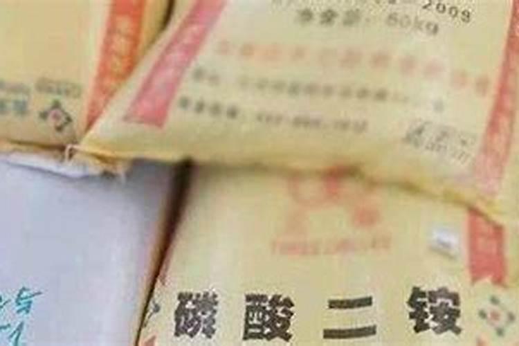 磷酸二铵施用