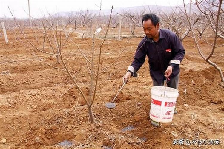 铵态氮肥加稀盐酸有刺激性气味吗