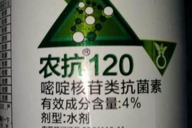 农抗120注意事项