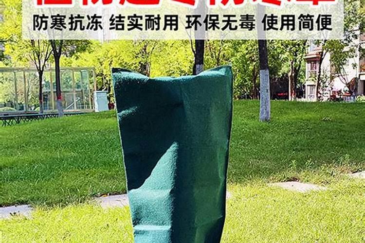果树防霜冻妙招