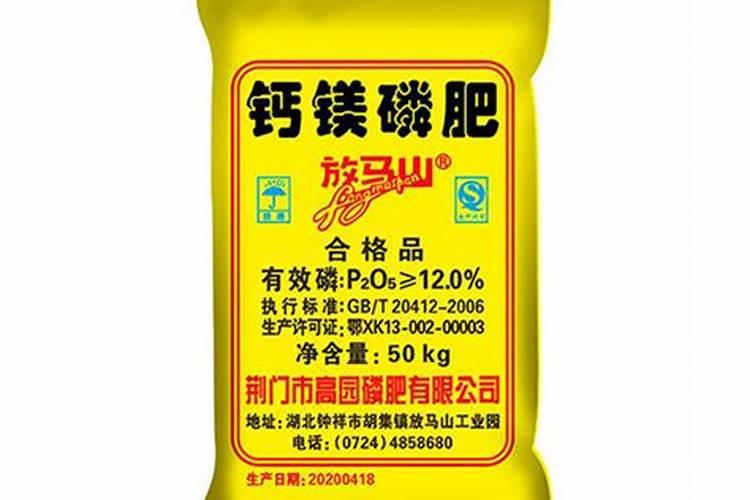 杉树什么月份施肥最合适