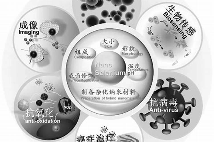 把菜种到极致是一种怎样的境界