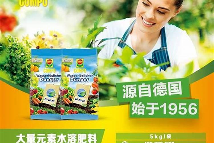 非洲茉莉用什么肥料好