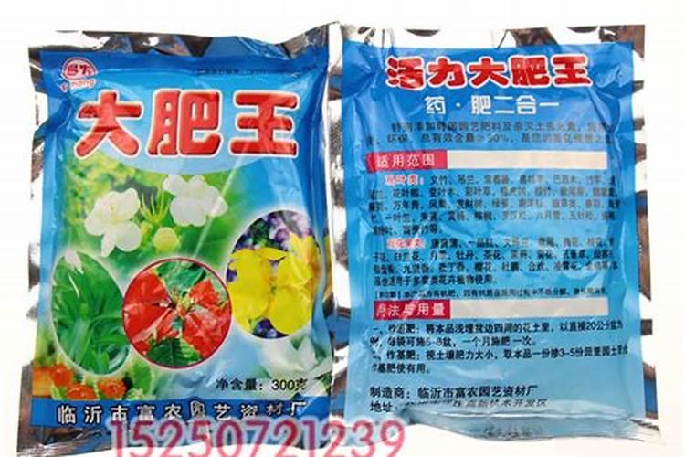 多肉淋了生根粉后很多小虫,飞来飞去那种,黑灰色的,这是为什么,会影响多 ...