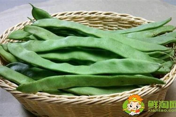 大棚芸豆用什么肥料好