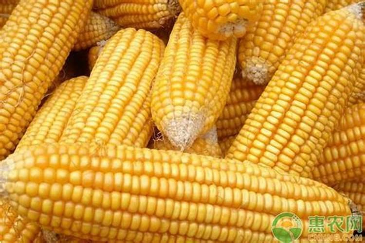 住商肥料玉米专用肥价格多少