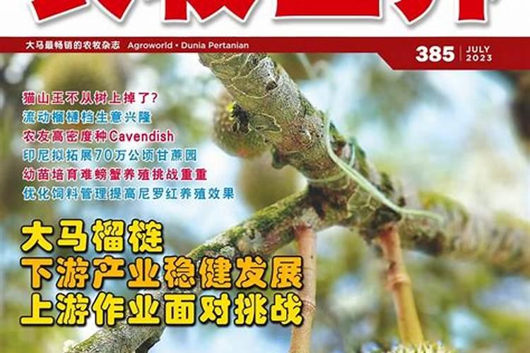 什么钙片补钙效果最好