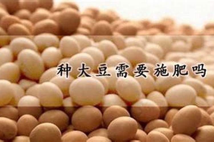 大豆什么时候施肥 大豆施肥的最佳时期