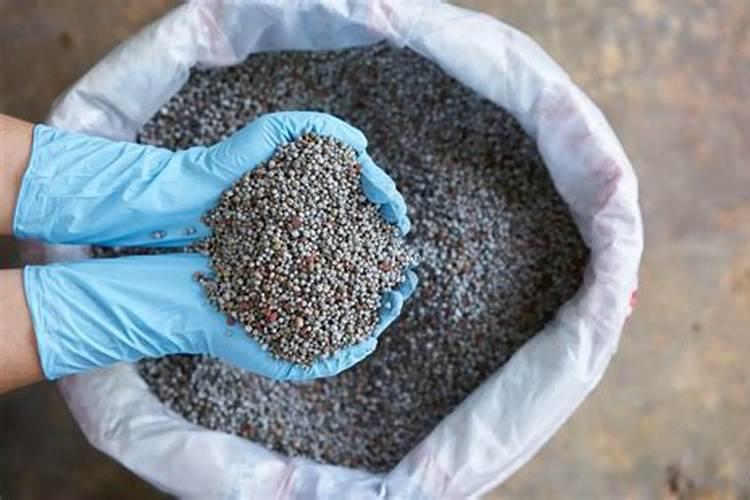 中量元素水溶肥料一般用在什么蔬菜上？