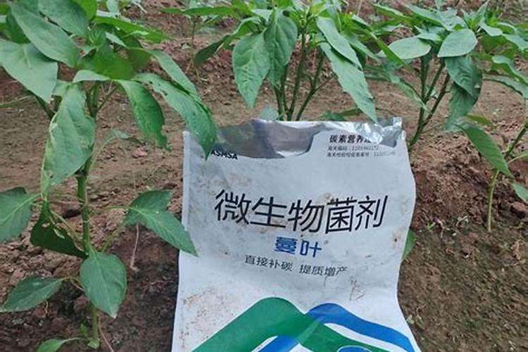全国化肥厂家排名 全国化肥厂家排名前十