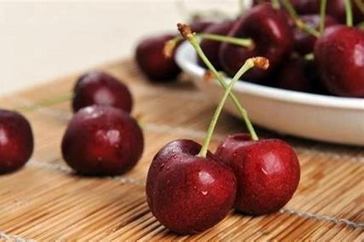 海南育种基地主要培育的粮食种子是什么