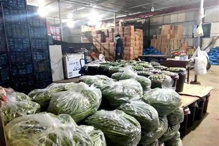 中国农科院中植八号有机硒成果如何？