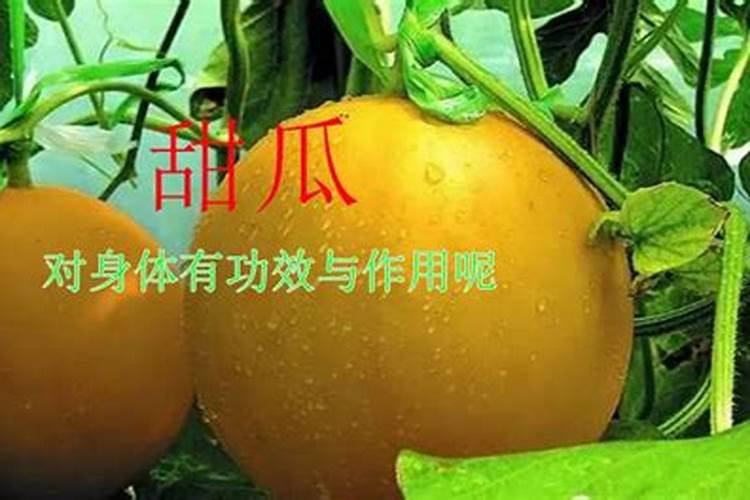 济南瓮福化肥怎么样