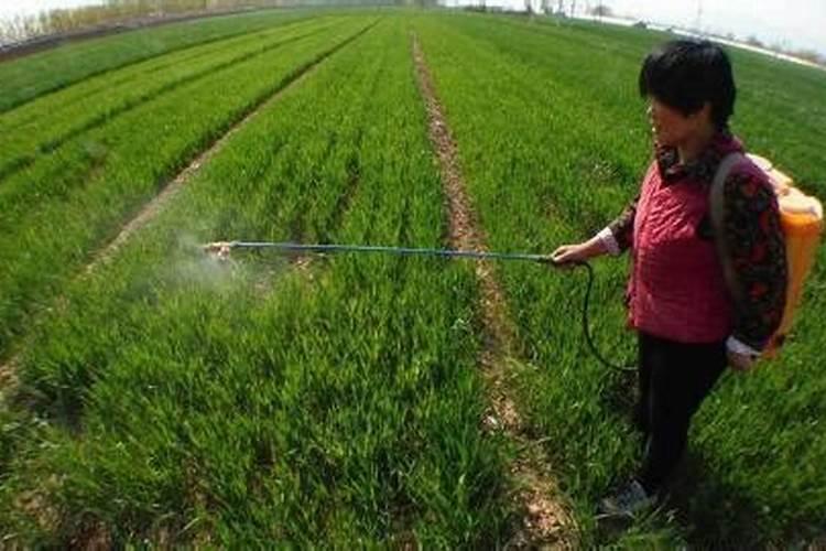 磷酸二氢钾不能和哪些类型的杀菌剂混用？用了会怎样？