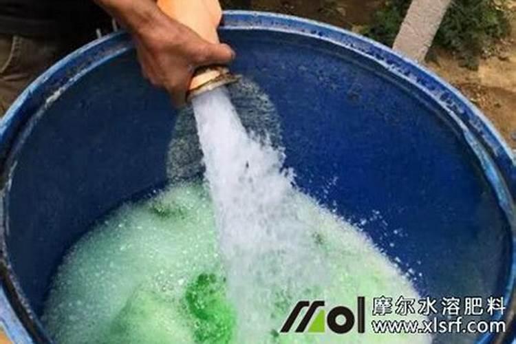 怎样对葡萄树的叶面施肥？