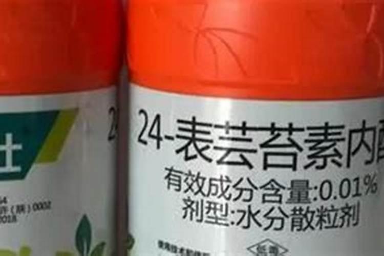 茶树用什么肥料长得快,茶树种植几年可以采摘