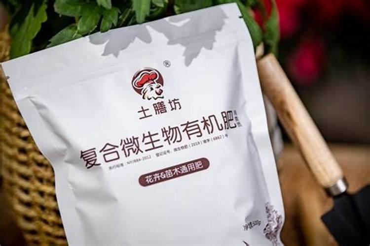 颗粒水溶肥巧棵力用在火龙果上有效果吗？