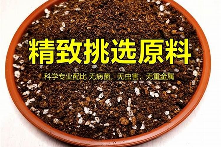 怎样才能合理施用磷肥