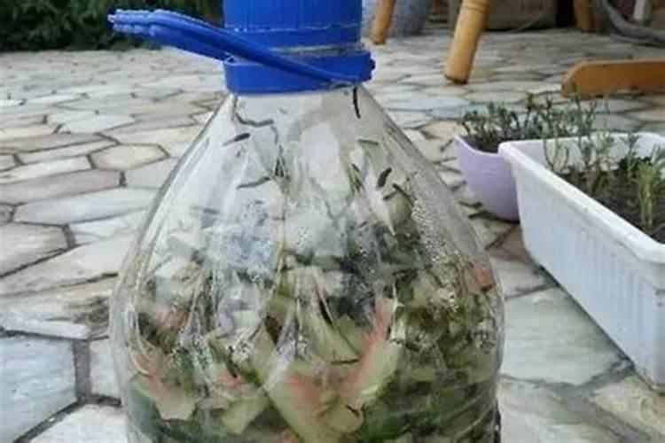西瓜皮沤肥适合什么花