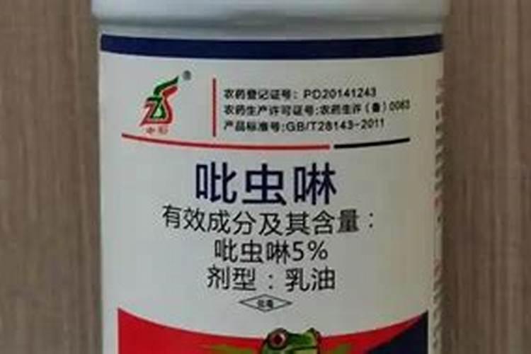 立秋前后茄子管理