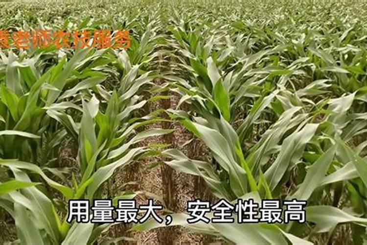 十大水溶肥品牌都有啥,国产的前十名,知名的水溶肥厂家有哪些？