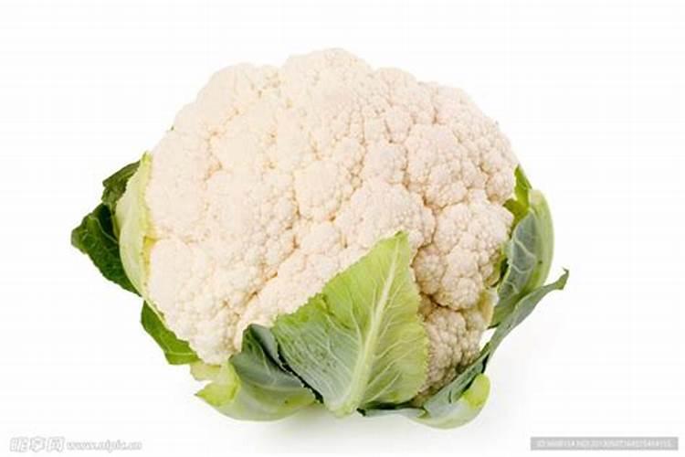 冬季大棚松花菜叶皱怎么了
