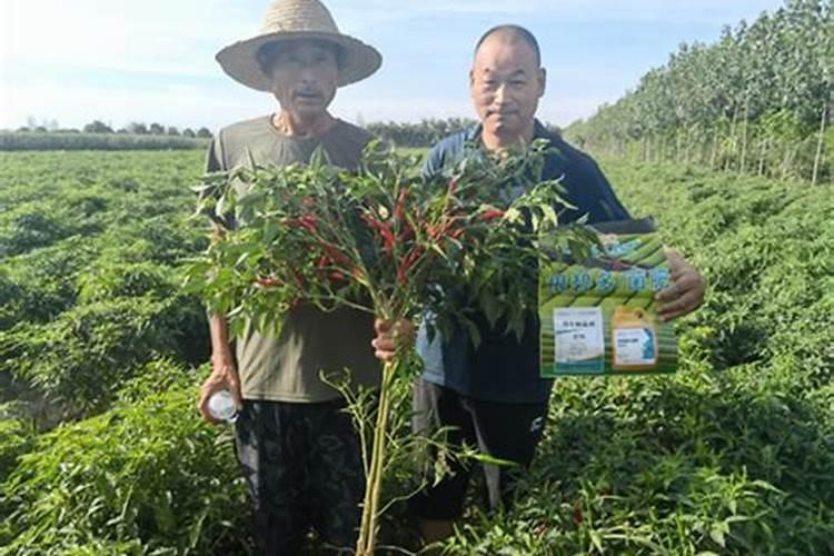 底肥施了要几天才能种,底肥用多少复合肥