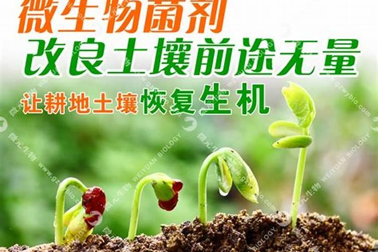 什么是富活素？