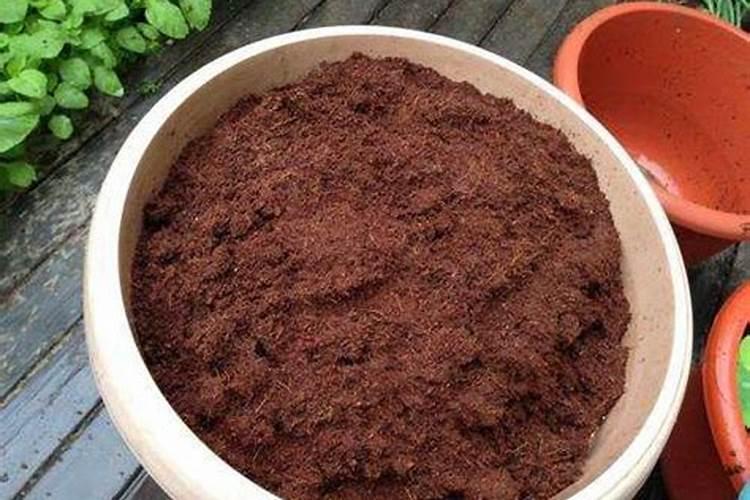 请你谈谈碳酸氢铵在苹果树的应用看法？