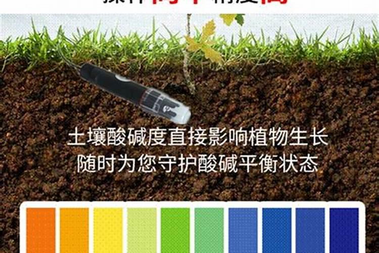 盐碱地怎么治理,能种什么
