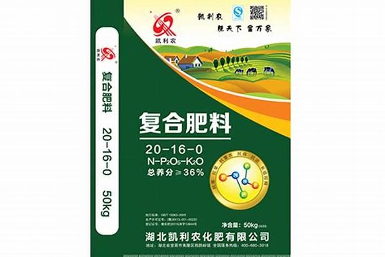 想要种植的茶花长得好,施什么肥好呢？
