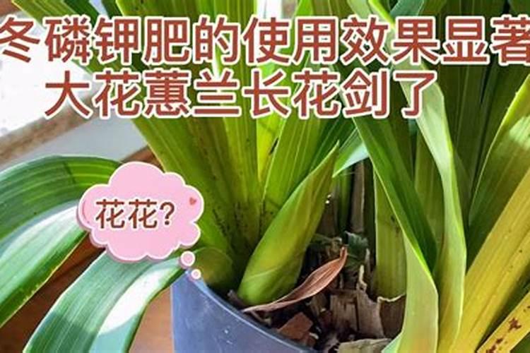 云南一致魔芋生物科技有限公司怎么样？