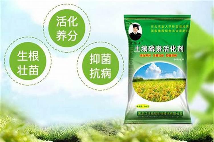 腐植酸肥料有什么功能？