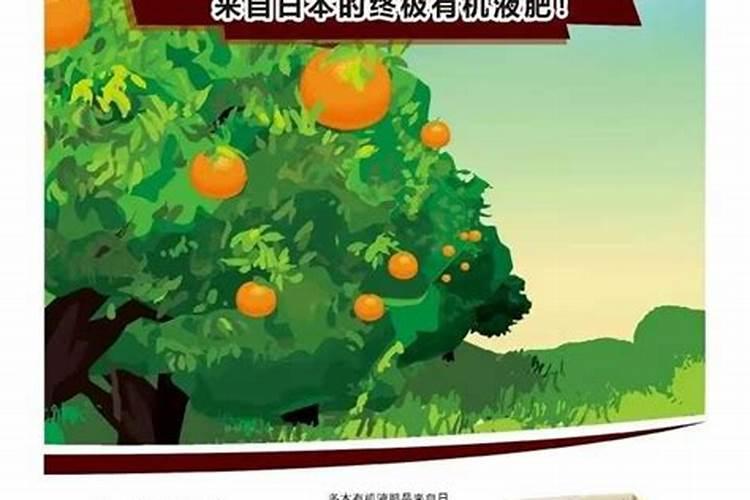 格尔木是个什么样的地方？黑三角呢？？