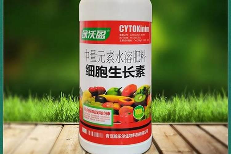 果树促花用什么叶面肥好？