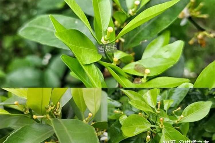 回盛生物是做什么的