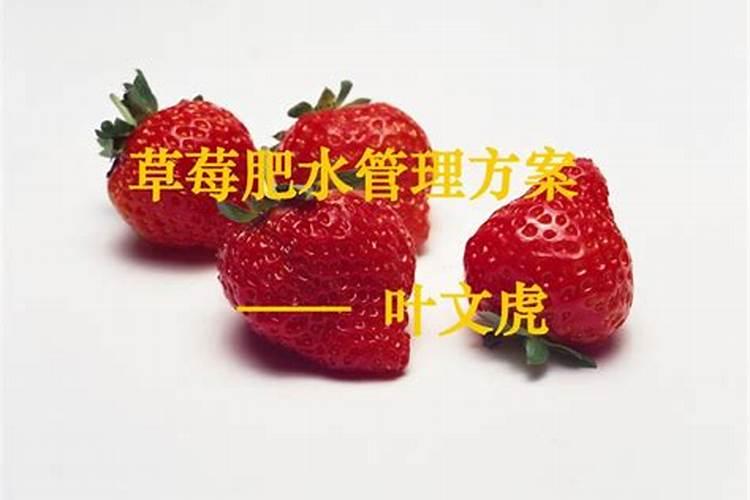 种草莓需要施什么肥料