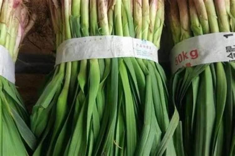 大蒜种植用什么肥料呢？