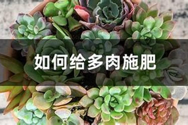 钾肥真伪如何识别