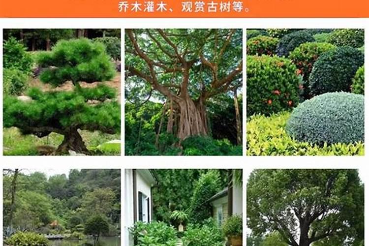 根多多生根水溶肥使用方法