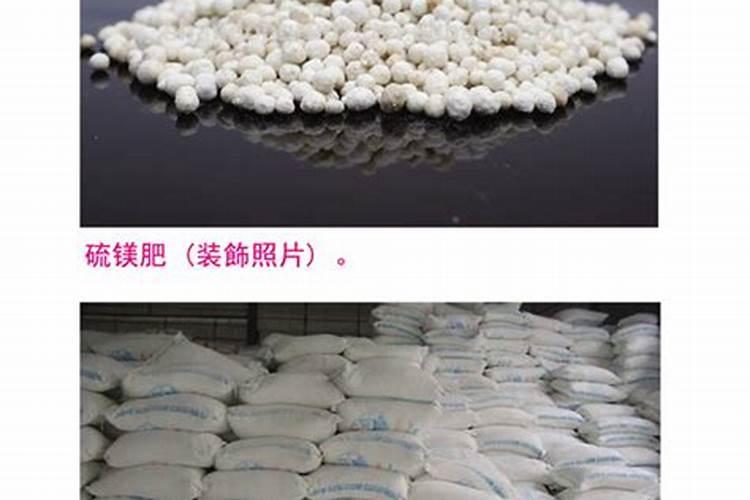 月季开花后怎么施肥