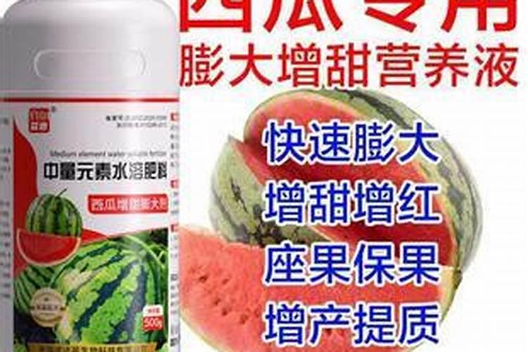 大棚西瓜壮果肥上什么肥好？西瓜专用肥哪家好？西瓜增甜防裂叶面肥金泰靓...