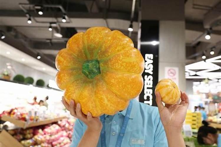 云南蔬菜基地有哪些