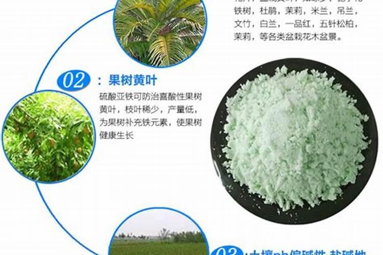 硫酸亚铁肥的使用方法